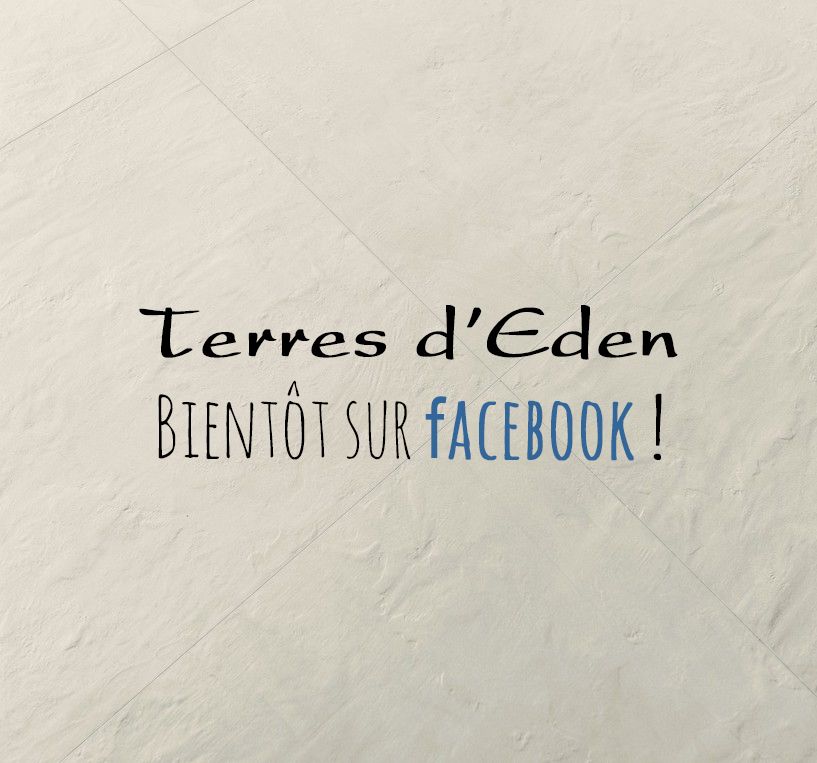 Terres d'Eden carrelages sur Facebook