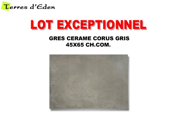 Grès cérame CORUS 45X65 choix commercial